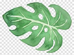 High quality premium images, psd mockups and . Download Tropical Leaf Watercolor Watercolor Palm Leaf Transparent Png Pngset Com