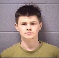 Felony Theft Charge Gets Man Handed Over To ICE: Bolingbrook Blotter