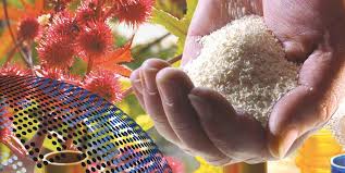 By lawbhoomi august 19, 2021 august 19, 2021. 13th International Conference On Bio Based Materials Online Power4bio