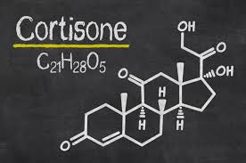 Image result for Cortisone