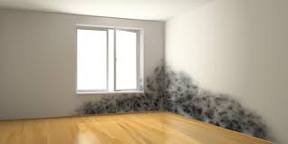 Bei wasserschäden übernehmen wir die wasserschadensanierung von feuchten wänden und die mauertrockenlegung. Schimmel Auf Feuchten Wanden Im Haus Bas Mauerwerkstrockenlegung