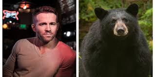 Ryan Reynolds reveals his terrifying but hilarious bear encounter