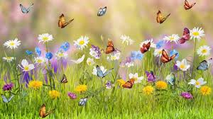 Garden Mobile Wallpaper Flower Wallpaper Hd Cool Wallpapers Mobile Wallpaper