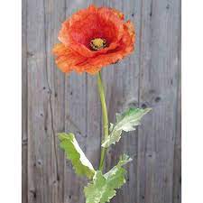 We are a family run business which recognizes customer service as key to our success. Artificial Poppy Flower Esila Orange 80cm