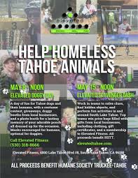 The lake tahoe humane society has been serving people and pets in the lake tahoe community for over 50 years. Elevated Doggy Day Elevated Fitness Lake Tahoe Events