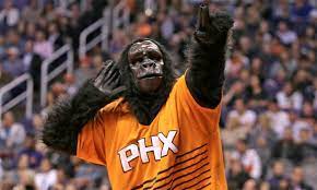 Hilsen af the phoenix suns. Former Suns Gorilla Finds A Voice For Self Improvement Motivation Az Big Media