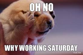 Here you will find our awesome collection of funny saturday quotes, happy saturday images, collected over the years from a variety of sources. Find Funny Work Quotes Amazing Funny Quotes Dogtrainingobedienceschool Com