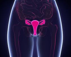 Epithelial ovarian cancer is the most common type of ovarian cancer. Ovarian Cancer Symptoms Early Warning Signs Of Ovarian Cancer