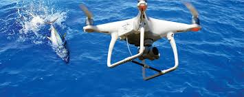 Image result for drone fishing for tuna