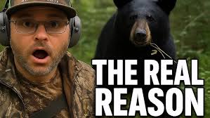 The Science Behind Black Bears Avoiding Your Bait