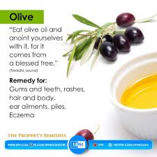 The Prophet S Remedies Olive Eat Olive Oil And Anoint Yourselves With It For It Comes From A Blessed Tree Remedies Treat Yeast Infection Health Remedies
