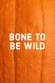 The Funniest Pumpkin Quotes And Puns To Use On Instagram Pumpkin Quotes Halloween Quotes Funny Pun Quotes