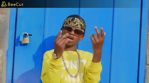 Zimbabwe S 14 Year Old Singer Herman Rocks With New Zvandofarira Hit News Mdundo Com