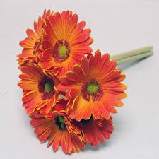Perfect for any occasion, celebrate with beautiful gerbera daisies to help say thank you, get well soon, or send a bouquet just because. China Wholesale Real Touch Artificial Gerbera Daisy Flowers For Home Wedding Home Office Decoration China Wholesale Real Touch Flowers And Artificial Gerbera Daisy Flowers Price