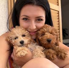 Dicono che sono irresistibile come la mia mammina Luna e Latin Lover come  il mio papino Rocky 💙 Mi chiamo Noel, sono maschietto Alfa e vi auguro un  Super giovedì 💘 Bacini 😘