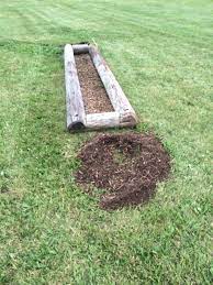 Not to fear, we have made the ultimate cross country jump guide for you! Cross Country Cross Country Jumps Diy Cross Country Jumps Cross Country