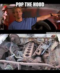 The Fast And The Furious Paul Walker Pop He Hood Meme Paul Walker Tribute Fast And Furious Funny Memes