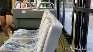 Image result for Jewel Green 2007 Transit