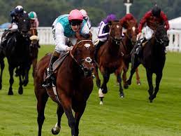 Full past performances in americanized format for both the a & b racecards. Frankel Enable Who Are The Greatest Race Horses Horse Racing Gulf News