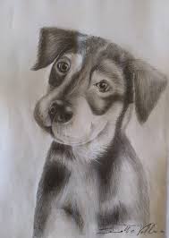 Disegni facilissimi da disegnare fresco disegni facili ma belli. Disegni A Matita Creazioni Sv