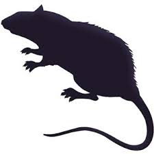 Silhouette Design Store Rat Silhouette Rat Silhouette Silhouette Art Halloween Silhouettes