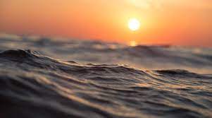 The 2021 conservation action focus is protecting at least 30% of our blue planet for a healthy ocean and climate. Cqbnjwvjc Ffjm