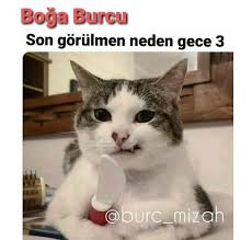 Ece Adli Kullanicinin Komik Seyler Panosundaki Pin 2020 Boga Burcu Burclar Komik Seyler