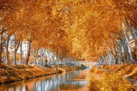 Reiseberichte, reiserouten, reiseerfahrungen ägyptenfotos reisetipps, bilder und reiseberichte zu ländern, städten und regionen! Bilder Canal Du Midi In Toulouse Frankreich Franks Travelbox