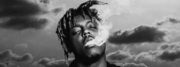 The logo contains the ash green shades which look tremendously breathtaking on a black color hoodie. Juice Wrld Store Official Merch Vinyl