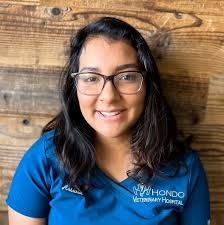 Veterinarians & Team in Hondo, TX