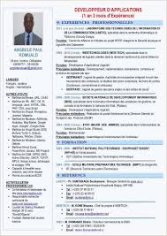 Exemple De Cv Ivoirien Pdf En 2020 Exemple Cv Exemple De Cv Simple Lettre De Motivation Stage