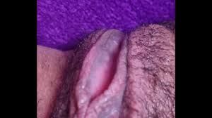 Chocho con ganas de follar - XNXX.COM