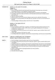 Word excel internet explorer operating systems (win 98/win 2000/win xp) i passed cpr exam and moh exam with 73. Medical Lab Assistant Resume Samples Velvet Jobs