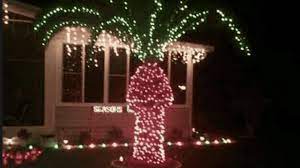 Check spelling or type a new query. Holiday Travel Tip Don T Put Christmas Lights On Palm Trees God Save The Points