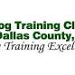 Trick Dog Training Class