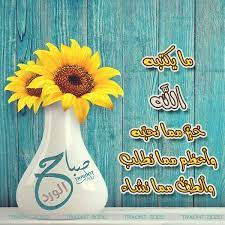 صور صباح الورد 2020 flower phone wallpaper phone wallpaper flowers