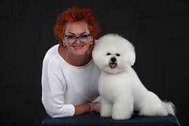 Bichon frise puppy for sale in jacksonville, fl, usa. About Tauroproline