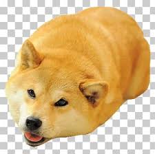 Ironic doge memes are memes that feature the doge meme in strange or surreal circumstances. Doge Meme Png Images Doge Meme Clipart Free Download
