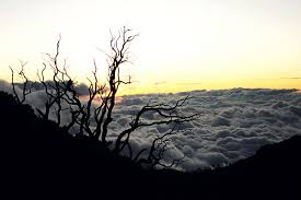 The government has been reluctant to impose. Costa Rica Trotz Corona So Reist Du Sicher Tipps Blog Asi Reisen