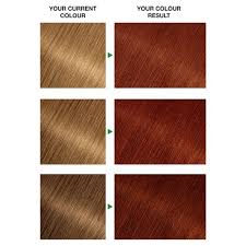 Garnier Nutrisse 6 34 Dark Natural Red Permanent Hair Dye Permanent Hair Dye Garnier Olia Baby Blonde Hair