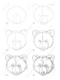 Did you hunt for this png? How To Draw Sketch Of Imaginary Cute Bear Head Creation Step Royalty Free Cliparts Vectors And Stock Illustration Image 139445651