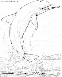 Dolphin Color Page Dolphins Animal Coloring Pages Color Plate Coloring Sheet Printable Co Dolphin Coloring Pages Animal Coloring Pages Shark Coloring Pages