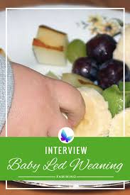 Interview Zum Thema Blw Baby Led Weaning Beikost Mit Spassfaktor Beikost Baby Led Weaning Rezepte