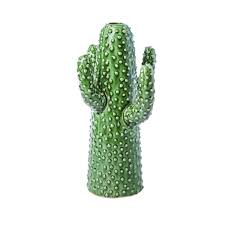 Find here details of companies selling cactus plants, for your purchase requirements. Buy The Serax Cactus Vase At Questo Design