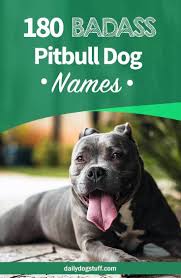 Understanding how often cats go into heat allows owners to predict breeding cycles, and when a male should be introduced. Top 180 Pitbull Hundenamen Von Mannlich Zu Weiblich Und Badass Zu Suss Pitbull Puppy Names Puppy Names Pitbull Dog Names