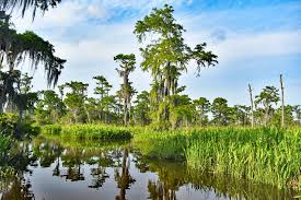 Louisiana is bordered by the state of texas to the west, arkansas to the north, mississippi to the louisiana is the only u.s. Louisiana In Pictures 15 Beautiful Places To Photograph Planetware