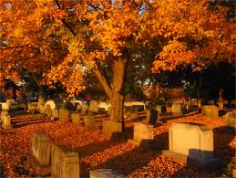 Facilities Directions Spring Hill Funeral Home And Cemetery Nashville Tn Spring Hill Funeral Home Outdoor