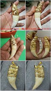 Pin By Vang Tahi Phạm On Tiger Tooth Men S Necklace Antler Necklace Tooth Necklace