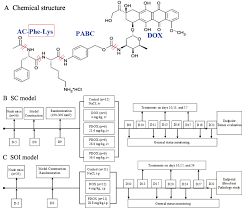 structure and flow chart a chemical structure of pdox