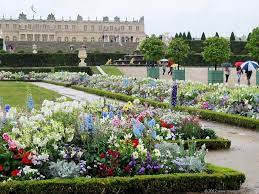 Plants have evergreen or deciduous foliage. Versailles Shines Even On A Rainy Day Versailles Garden Versailles Rainy Days